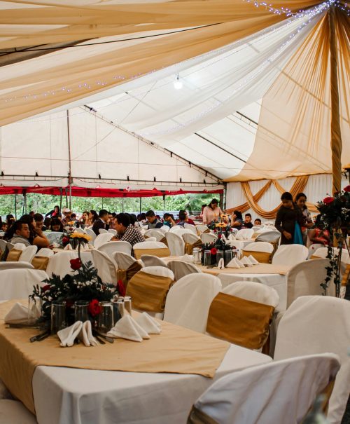 pablo-hernandez-ut7gsZ3gcu4-unsplash